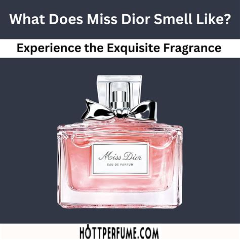 miss dior review blog|what does miss dior smell like.